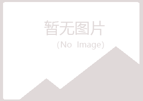 铁东区盼夏建设有限公司